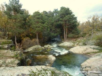 Bosque de Finlandia - Valle de El Paular;turismo en la sierra de madrid sendero gps pantalon senderi